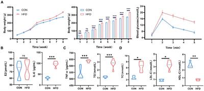 Multiomics analysis investigating the impact of a high-fat diet in female Sprague–Dawley rats: alterations in plasma, intestinal metabolism, and microbial composition